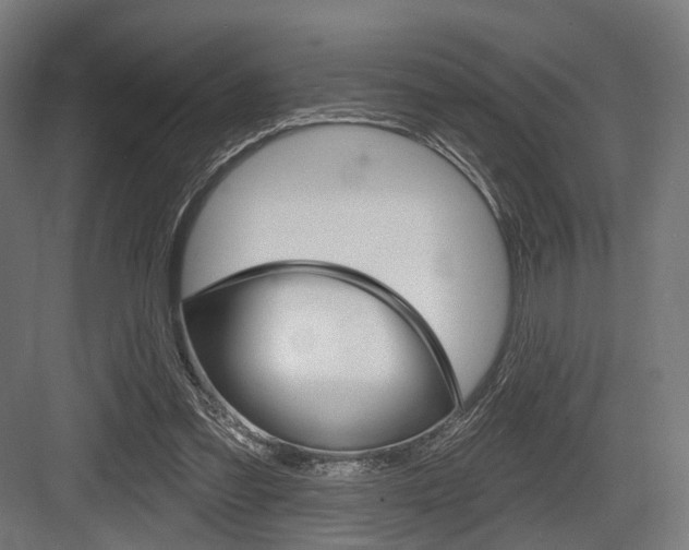 X0000083990301200702160738