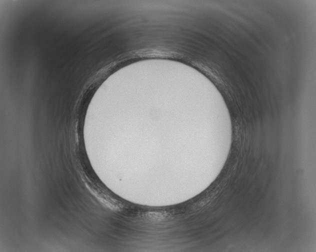 X0000083990302200702160737