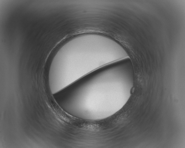 X0000083990304200702160737