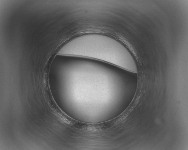 X0000083990305200702160737