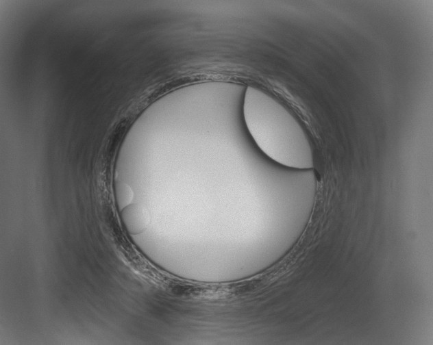 X0000083990306200702160737