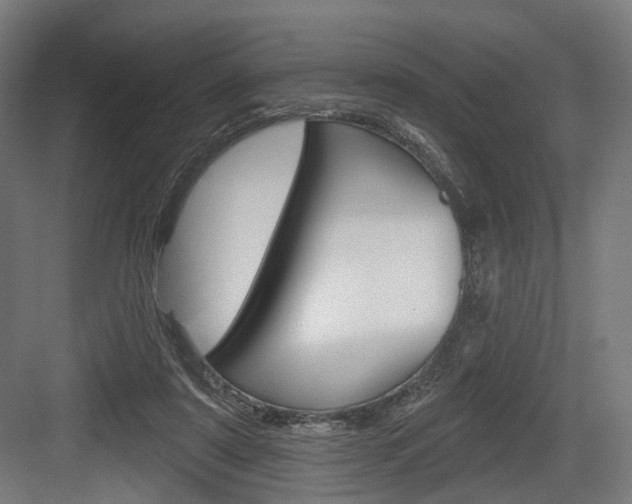 X0000083990307200702160737