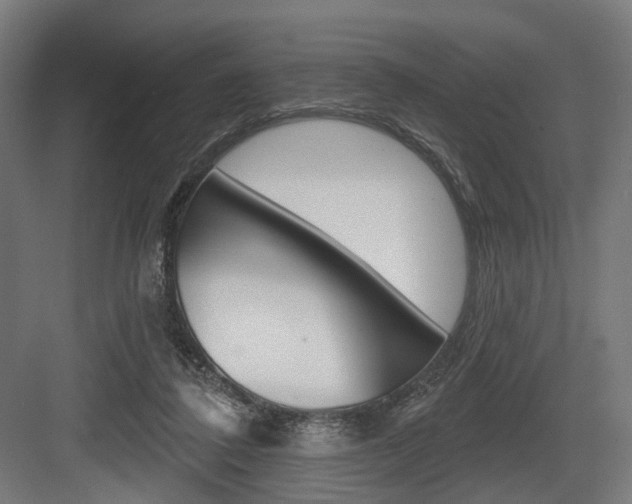 X0000083990308200702160737