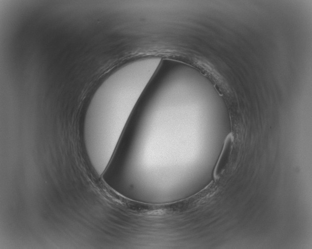 X0000083990309200702160737