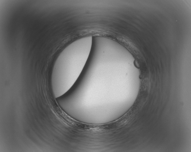 X0000083990310200702160737