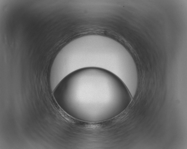 X0000083990313200702160737