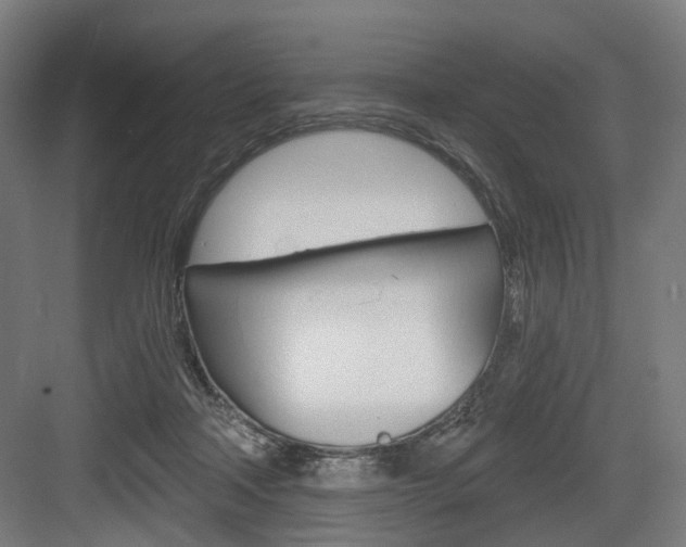 X0000083990314200702160737