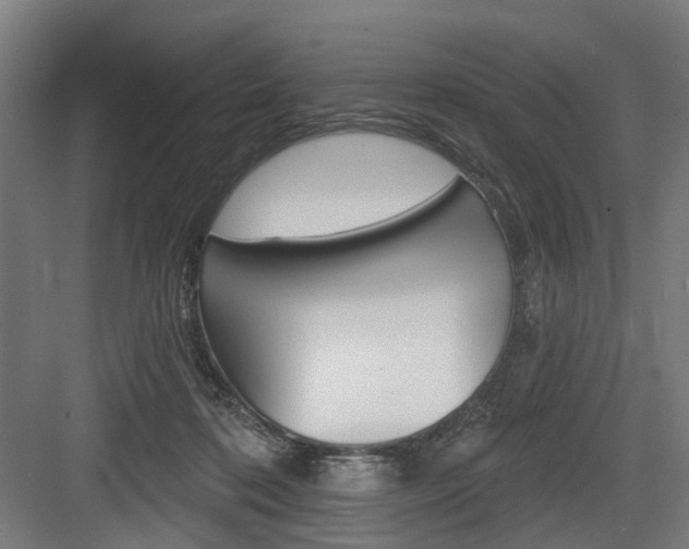 X0000083990316200702160737