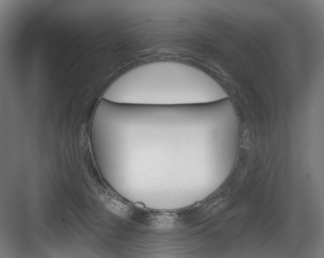 X0000083990318200702160737