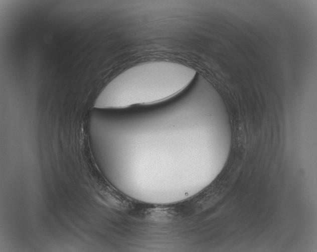 X0000083990320200702160737
