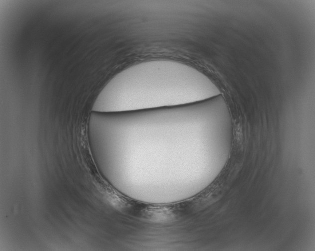 X0000083990322200702160737