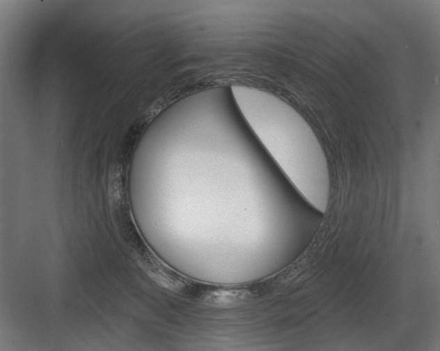 X0000083990323200702160737