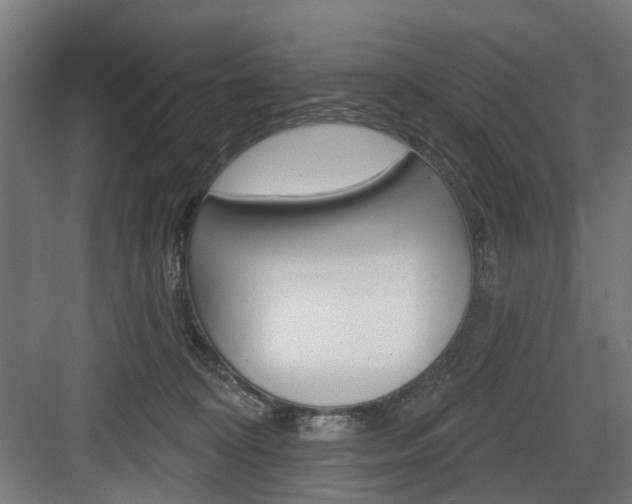 X0000083990324200702160737