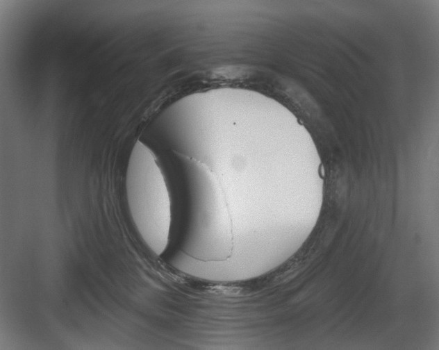 X0000083990328200702160737