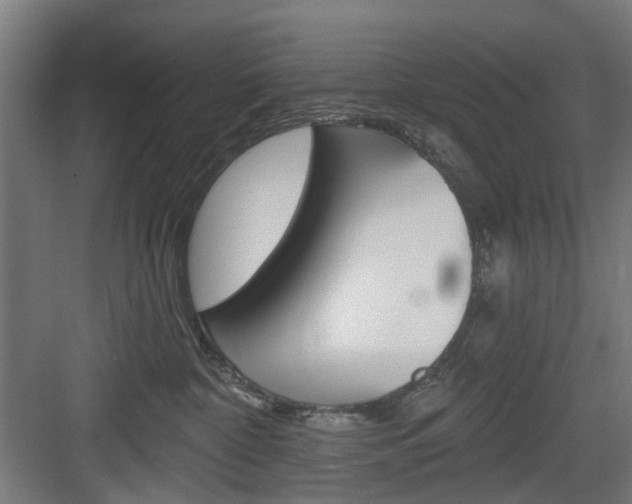 X0000083990332200702160737