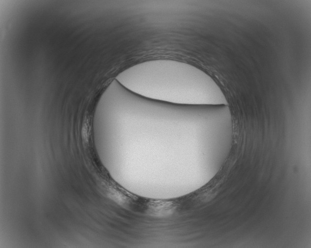 X0000083990334200702160737