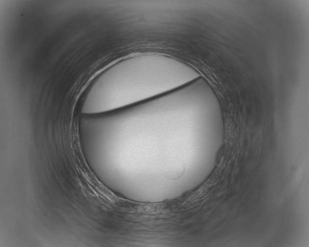 X0000083990338200702160736