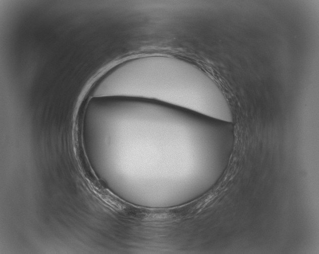 X0000083990342200702160736