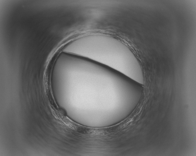 X0000083990343200702160736