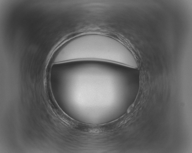 X0000083990344200702160736