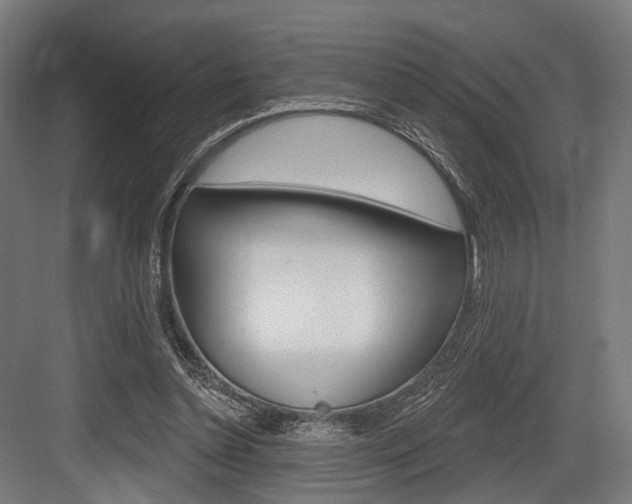 X0000083990348200702160736