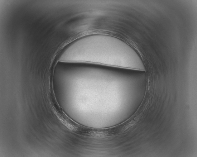 X0000083990349200702160736