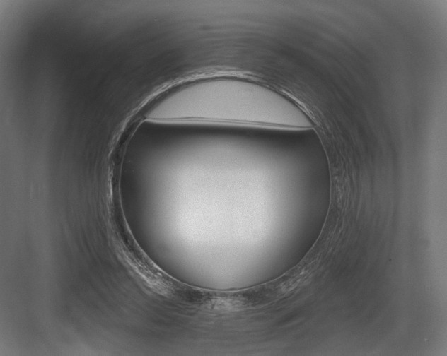 X0000083990350200702160736