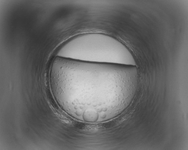 X0000083990351200702160736
