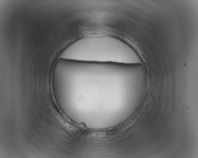 X0000083990353200702160736