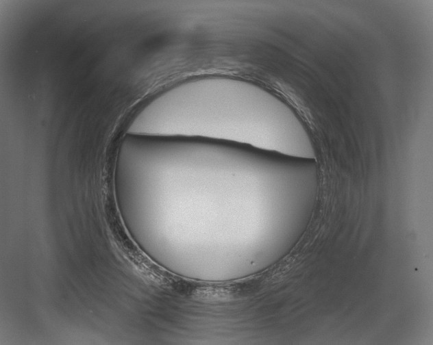 X0000083990354200702160736