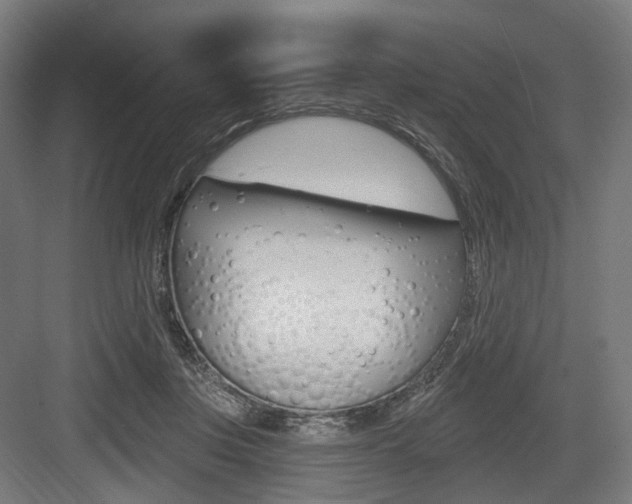 X0000083990359200702160736