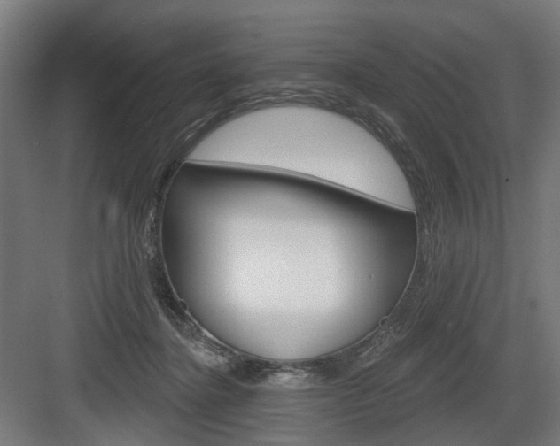 X0000083990364200702160737