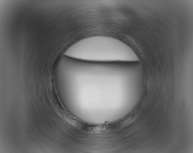 X0000083990366200702160737