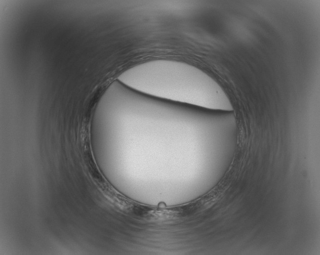 X0000083990367200702160737