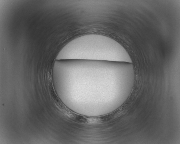 X0000083990371200702160737