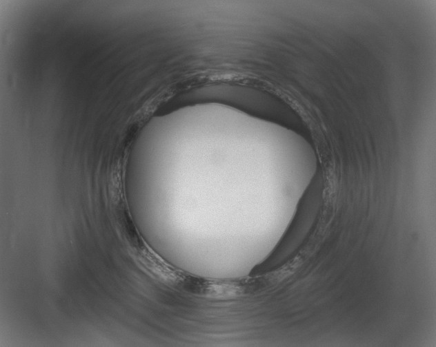 X0000083990376200702160737