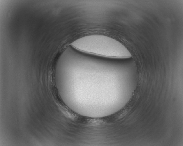X0000083990379200702160737