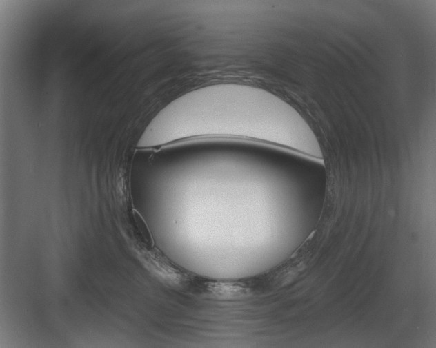 X0000083990380200702160737