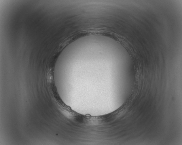 X0000083990383200702160737