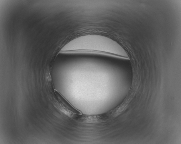 X0000083990384200702160737