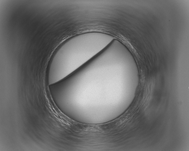 X0000083990386200702160736