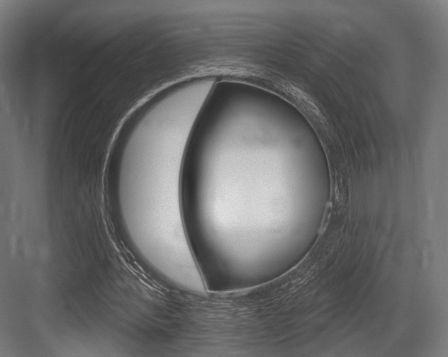 X0000083990388200702160736