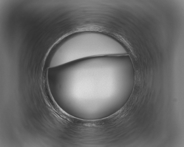 X0000083990392200702160736