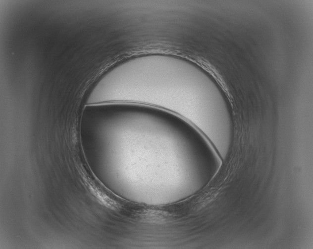 X0000083990393200702160736