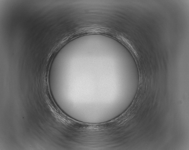 X0000083990394200702160736