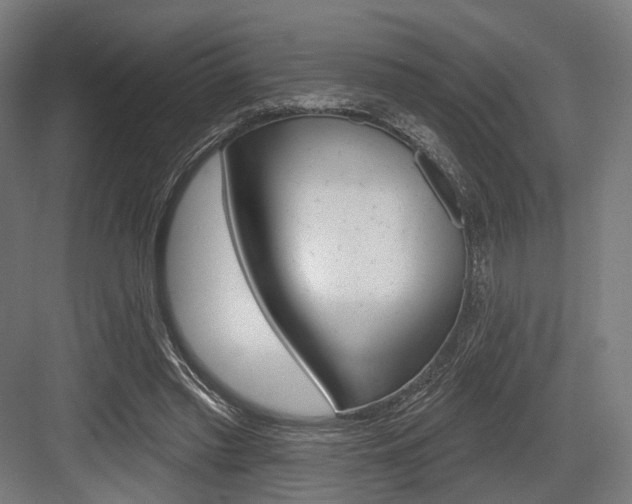X0000083990397200702160736