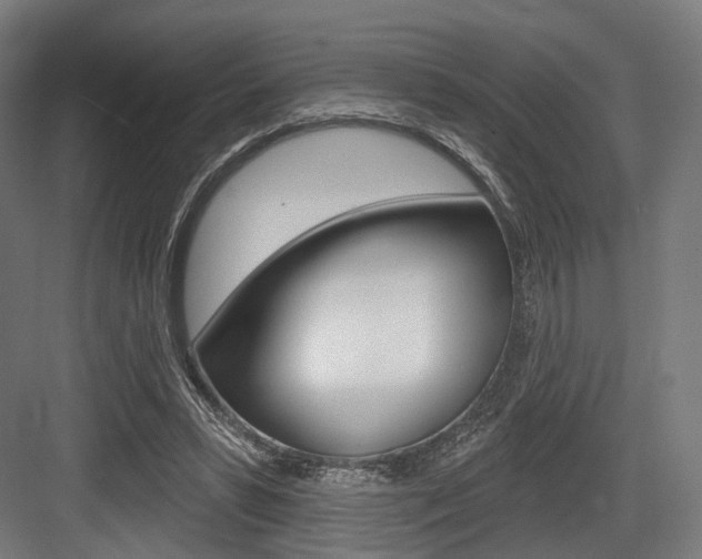 X0000083990399200702160736