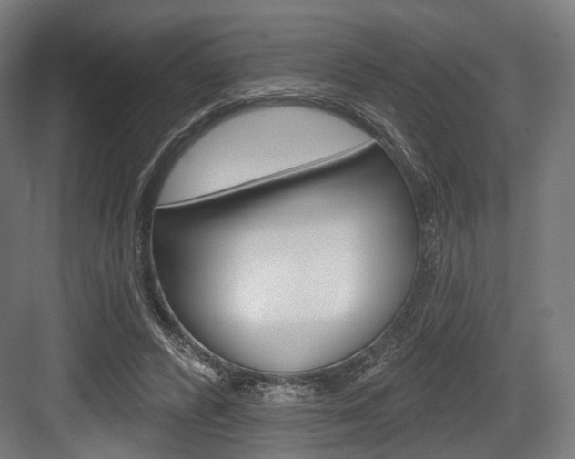 X0000083990400200702160736