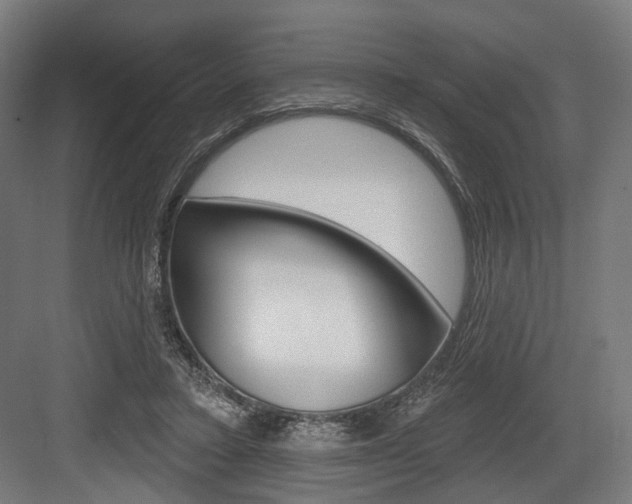 X0000083990403200702160736