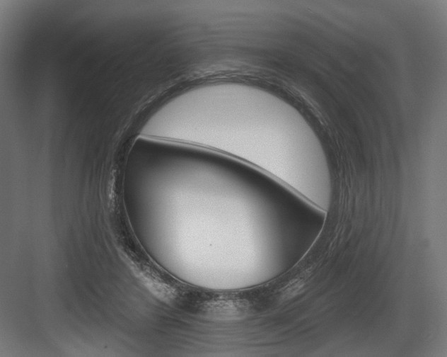 X0000083990404200702160736